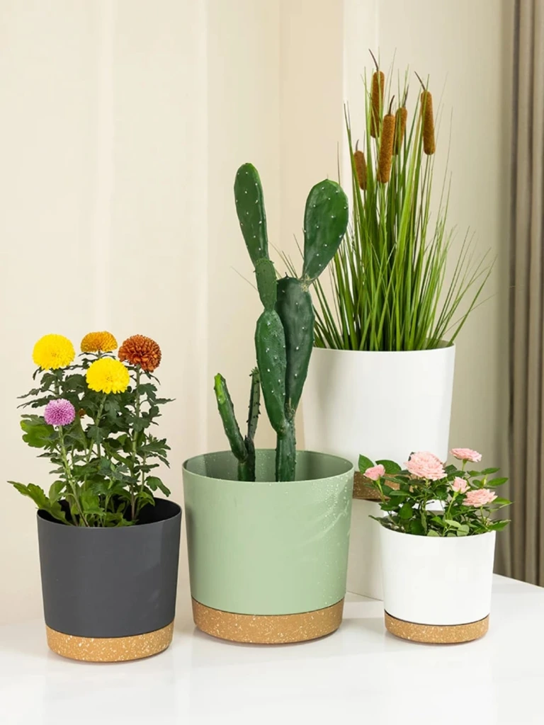 PP planter0.webp