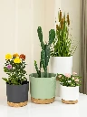 PP planter0.webp