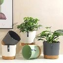 flower-pot-plastic-multicolour-styled.webp