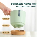 PP planter7.webp
