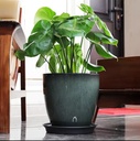flower-pot-plastic-glazed-dark-green-lifestyle