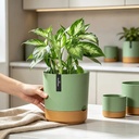 flower-pot-plastic-green-self-watering