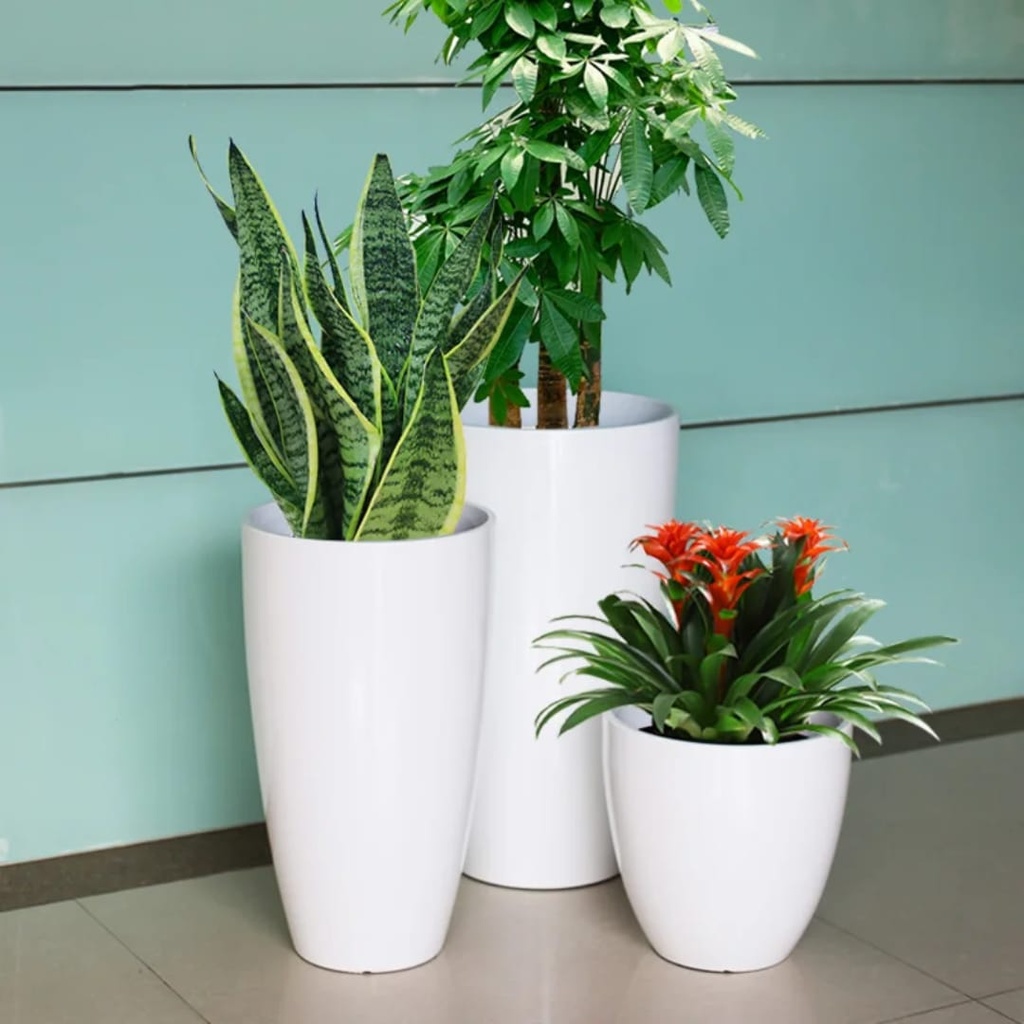 flower-pot-resin-white-3sizes-snake-plant