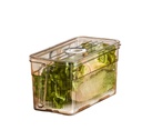 Fridge Plastic Storage Container